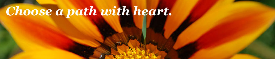 Bob Pileggi & Empowering Presence Rotating Header Image