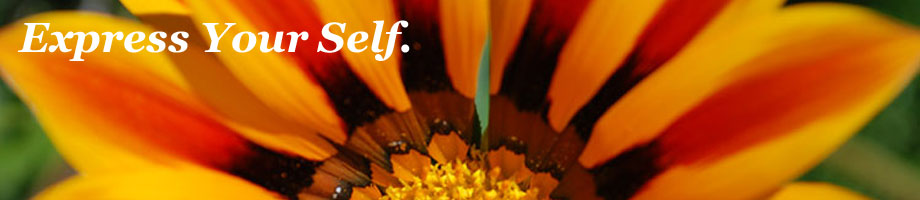 Bob Pileggi & Empowering Presence Rotating Header Image