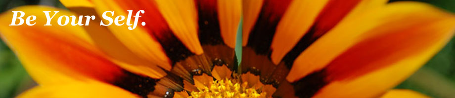 Bob Pileggi & The Empowering Spirit Rotating Header Image