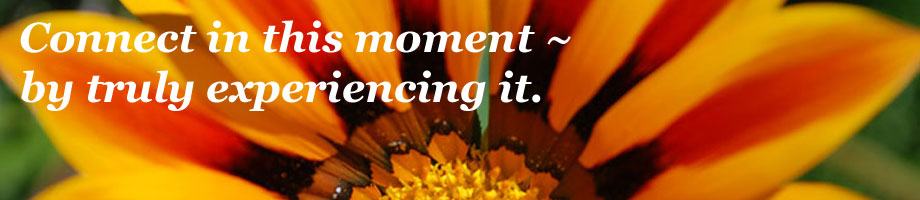 Bob Pileggi & The Empowering Spirit Rotating Header Image