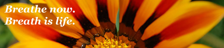 Bob Pileggi & The Empowering Spirit Rotating Header Image